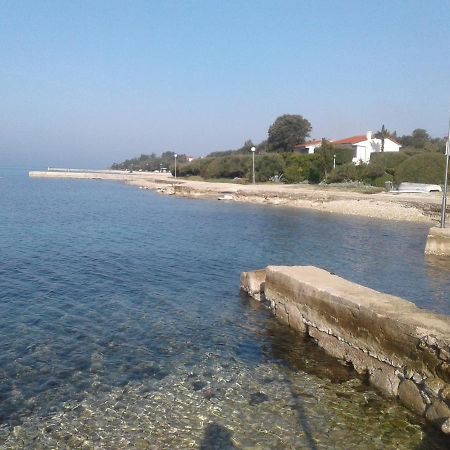 Apartmani Matela Petrcane Exteriér fotografie